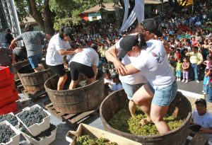 Castiglione in Teverina - Festa della vendemmia