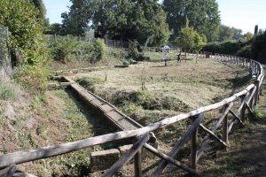 Fossato callo a Vetralla