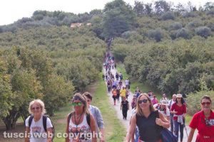 Gruppo in cammino