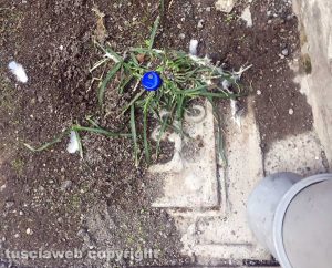 Un tombino otturato in via Assisi