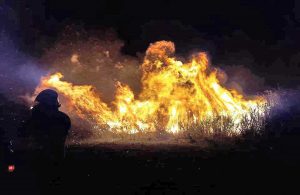 Tarquinia - L'incendio a Montericcio