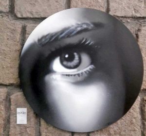 Una delle opere di Carlotta Patara