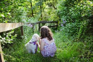 Pet Therapy