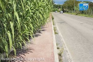 Viterbo - Il marciapiede lungo strada Bagni