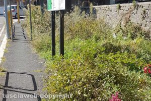 Viterbo - Le erbacce lungo il sottopassaggio