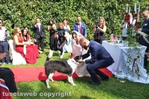 Daphne porta le fedi al matrimonio di Eleonora Cutigni e Diego Proietti
