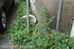 Viterbo - Water abbandonato in via Tommaso Carletti