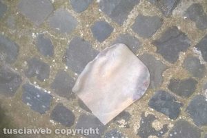 Montefiascone - Precipita una lastra di piombo dalla cupola di Santa Margherita