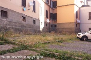 Viterbo - Erbacce e incuria in via Sant'Agostino e via Santa Rita