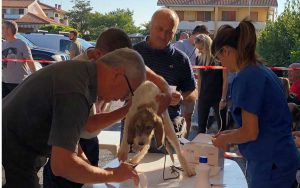 Montalto di Castro - La giornata del microchip gratuito
