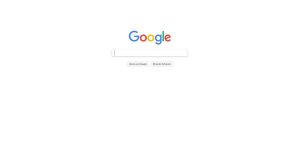 Il motore di ricerca Google