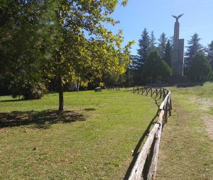 Viterbo - Interventi al verde pubblico