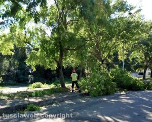 Viterbo - La zona della strada Capretta viene ripulita