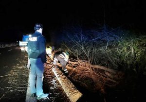 Maltempo - Gli interventi nella notte di polizia e Aeopc