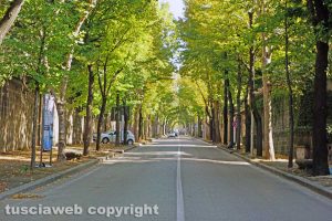 Viterbo - Viale Trieste