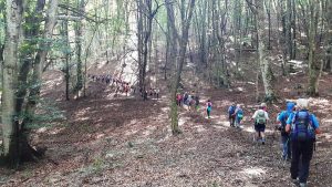 La Via Francigena Cimina