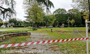Alberi transennati a Pratogiardino