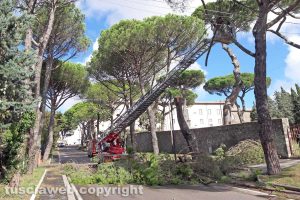Montefiascone - L'intervento in via Bandita