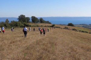 Sport - Trekking - La passeggiata Walk in Tuscia a Valentano