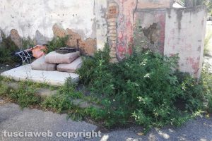 Viterbo - Rifiuti in via Vismara