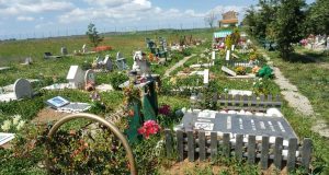 Viterbo - Il cimitero degli animali sulla Cassia Nord