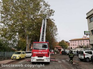 Viterbo - L'albero caduto sulla Teverina - Vigili del fuoco al lavoro