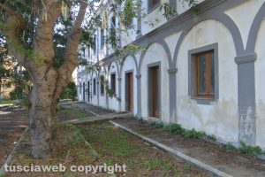 Tarquinia - Saline - L'ecoalbergo