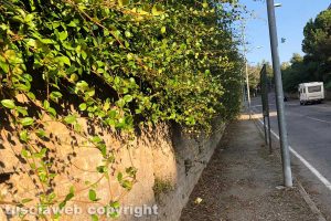 Viterbo - Siepi incolte in via della Pila