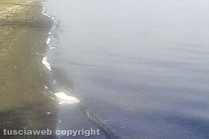 Montefiascone - Schiuma nel lago di Bolsena