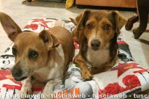 Montalto di Castro - Sole e Luna