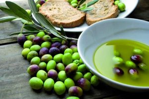 Canino - Olio d'oliva