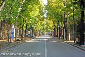 Viterbo - Viale Trieste