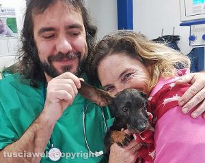 Nisida con il veterinario Lorenzo Lorenzini e la padrona Petra Blesgen