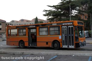 Viterbo - Un bus della Francigena