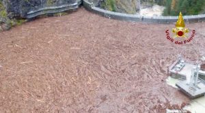 Belluno - La diga del Comelico coperta di alberi