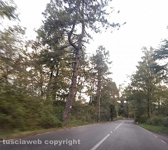 Strada Cimina