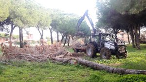 Tarquinia - La risitemazione al Lido