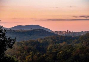L'immagine di Francesco Pecci per l’Instagram photo contest #myvitorchiano2018