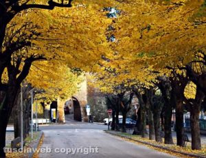 Autunno a Tuscania