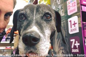 Montalto di Castro - Diana