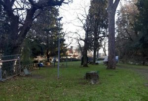 Capranica - Il boschetto