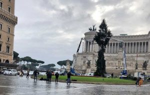 Roma - L'abete a piazza Venezia