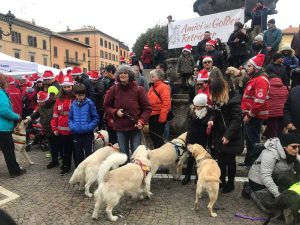 Viterbo - "Amici del Golden Retriever"