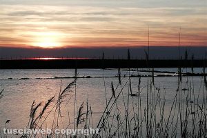 Tarquinia - Le Saline al tramonto
