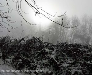 La Faggeta innevata