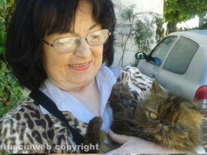 Poggino - Maria Ciucci con uno dei gatti della colonia felina