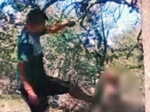 Argentina - Appende il cane all'albero e lo uccide a calci e bastonate
