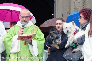 Viterbo - Basilica della Quercia - Benedizione degli animali per sant'Antonio Abate