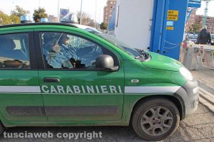 Carabinieri forestali