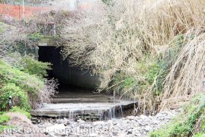 Viterbo - La fine dell'Urcionio